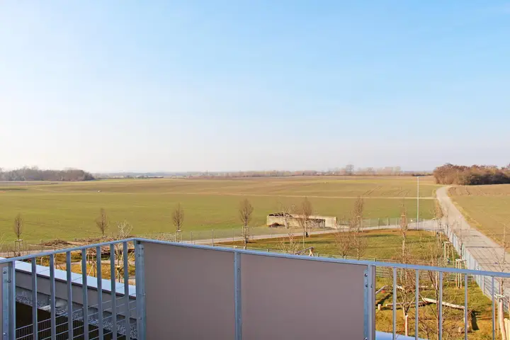 Holunderweg_2_13 (1)