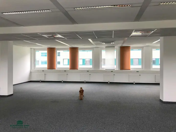 Bürofläche, Immobilien-Kurz-Salzburg