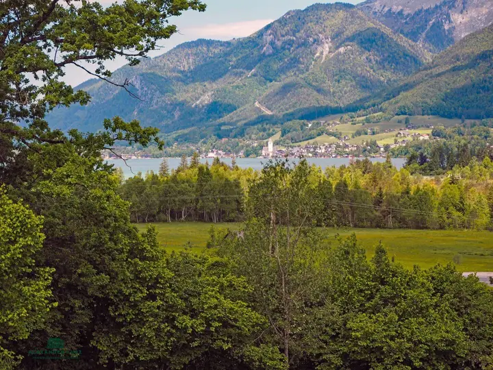 Klassisches Landhaus, Immobilien-Kurz-Salzburg