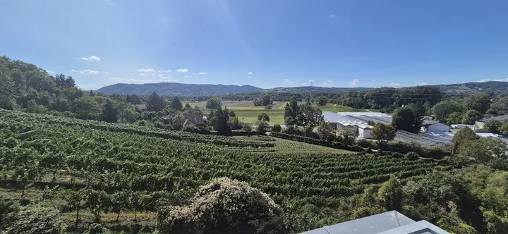 Fernblick