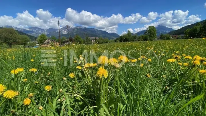 LÄNDLICHE PERLE MIT MALERISCHER AUSSICHT