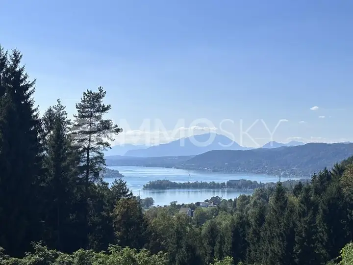 Blick (Nachbar)