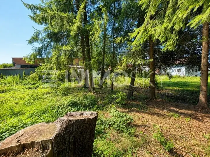 Naturgarten mit Baumbestand
