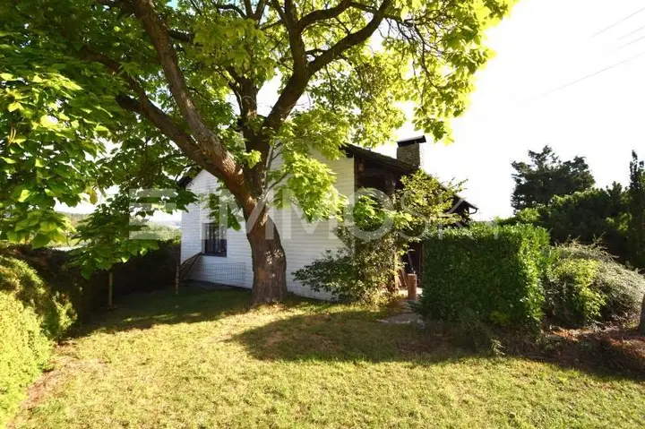 Westseite Garten