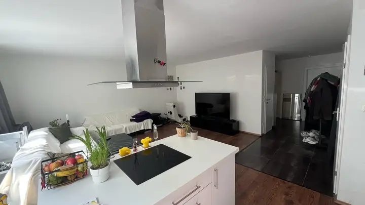 Küche + Wohnzimmer