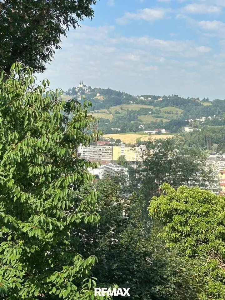 Ausblick