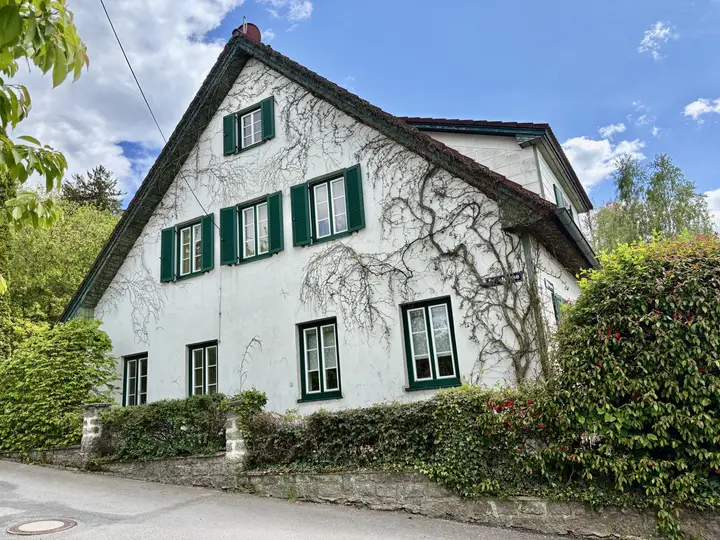 Haus Straßenperspektive