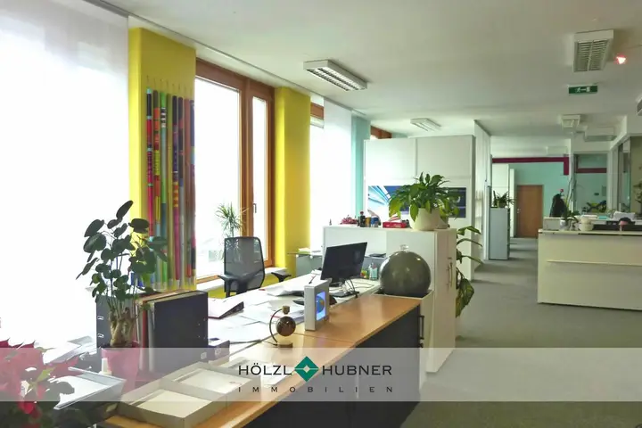 hoelzl hubner immobilien modernes penthausbuero salzburg