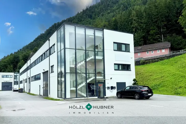 hoelzlhubnerimmobilienbuero-hallein