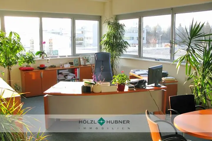 hoelzl hubner immobilien großzuegige bueroetage mit terrasse