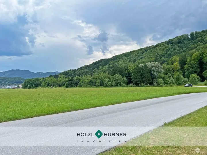 hoelzlhubnerimmobilien-grundstück-bergheim