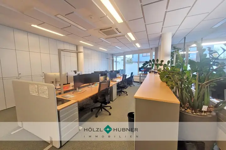 hoelzlhubnerimmobilien
