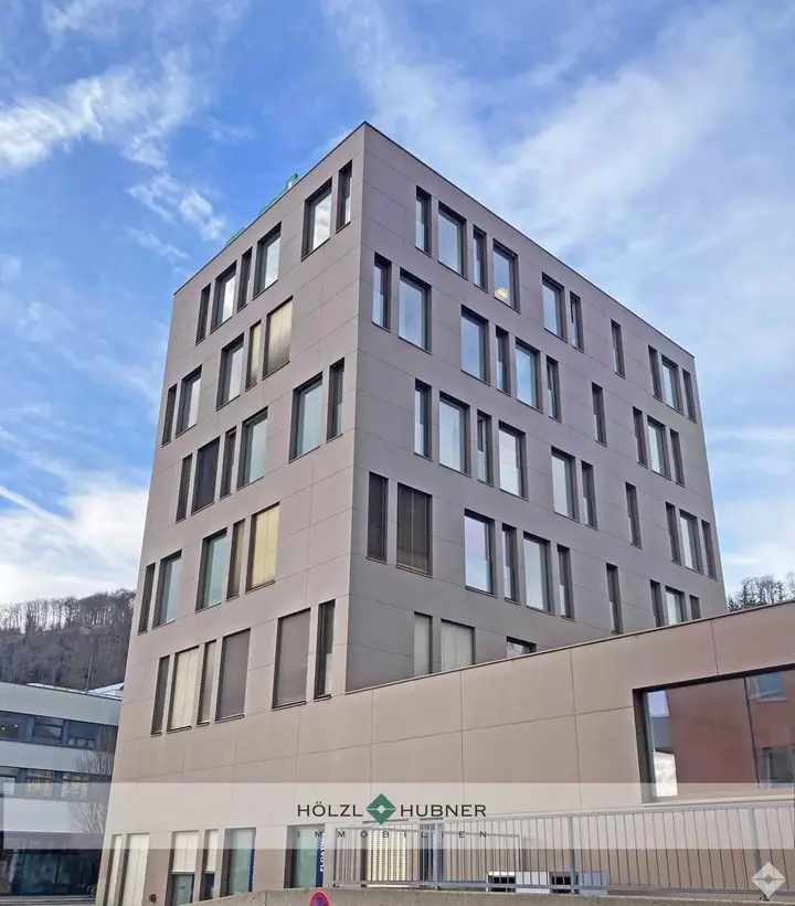 hoelzlhubnerimmobilien