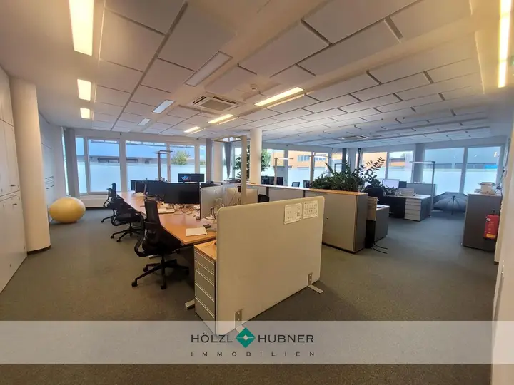 hoelzlhubnerimmobilien