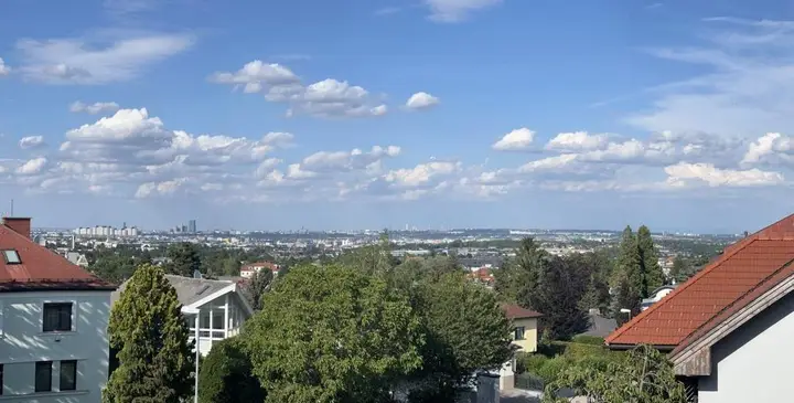 Wienblick