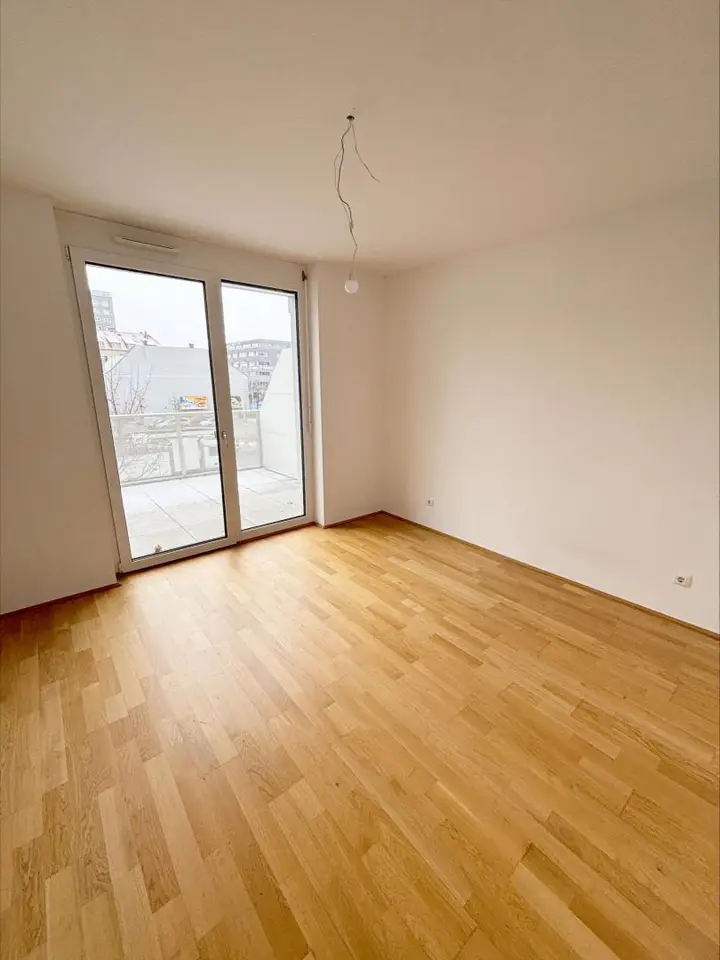 Zimmer