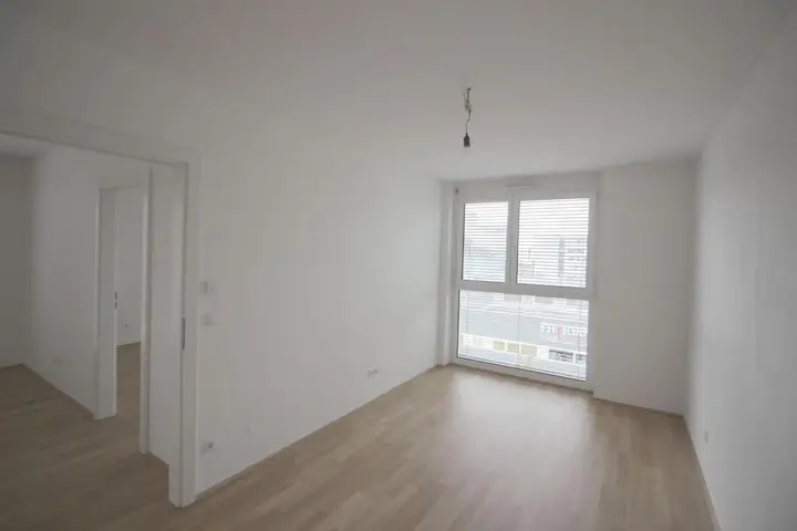 Zimmer-2