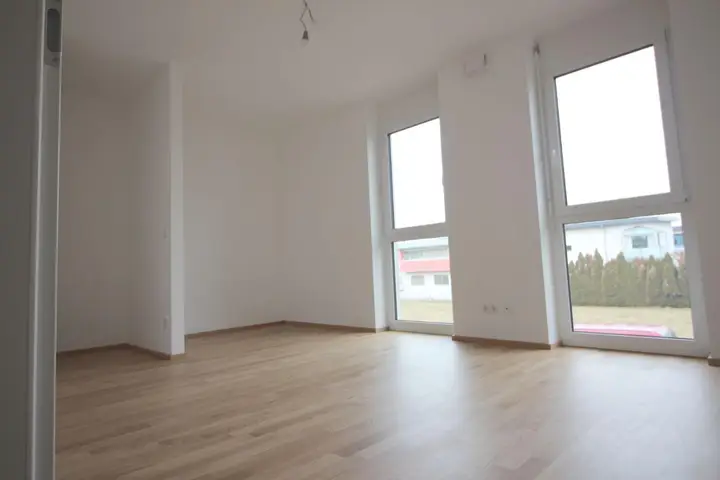 Zimmer2