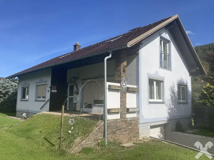 Südansicht mit Einfahrt Garage