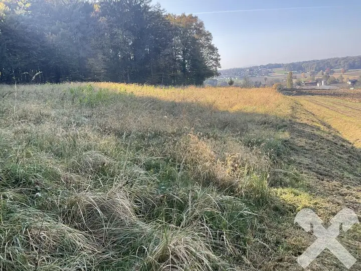 landw. Fläche