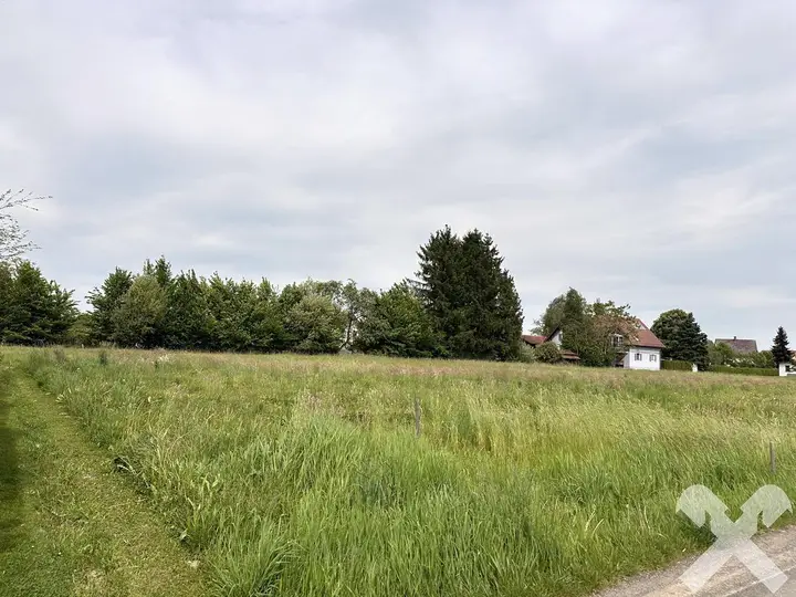 Grundstück gesamt