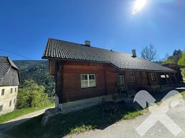 Außenansicht Rückseite Haus