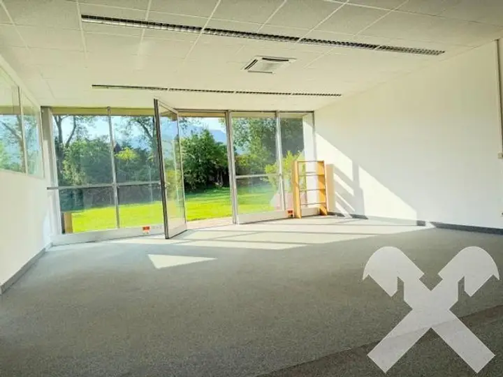 Büro - grosser Raum mit Grünfläche