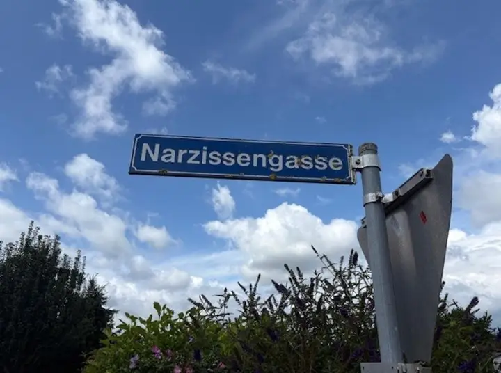 Bild1