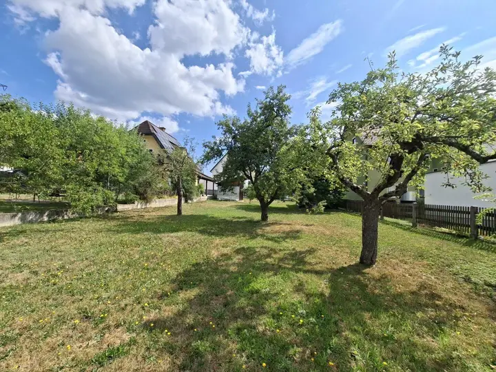 Bestand Obstbäume