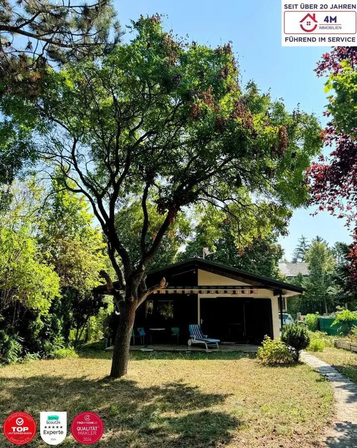 Foto1