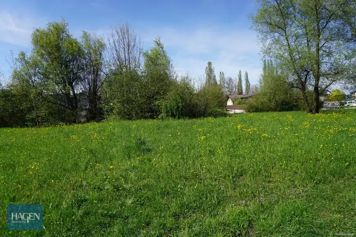 DSC07030