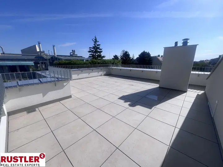 Dachterrasse 1