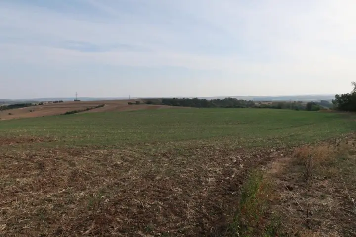 Liegenschaft 1