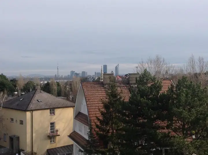 EXKLUSIVES PRESTIGE PENTHOUSE MIT KAMIN und TERRASSE IM NOBLEN 19.BEZIRK