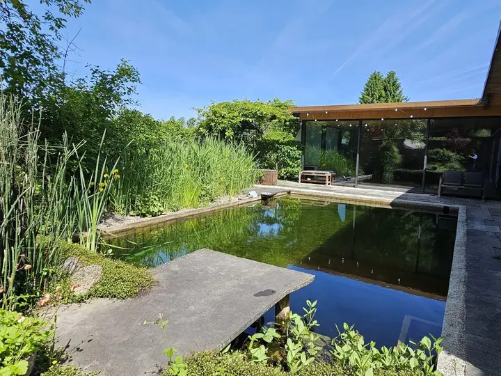 Schwimmteich