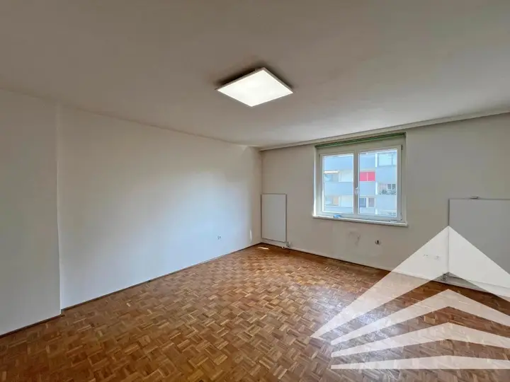 Wohn-/Ess-/Schlafzimmer