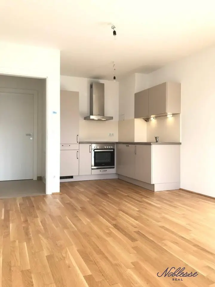 Wohnzimmer / Küche