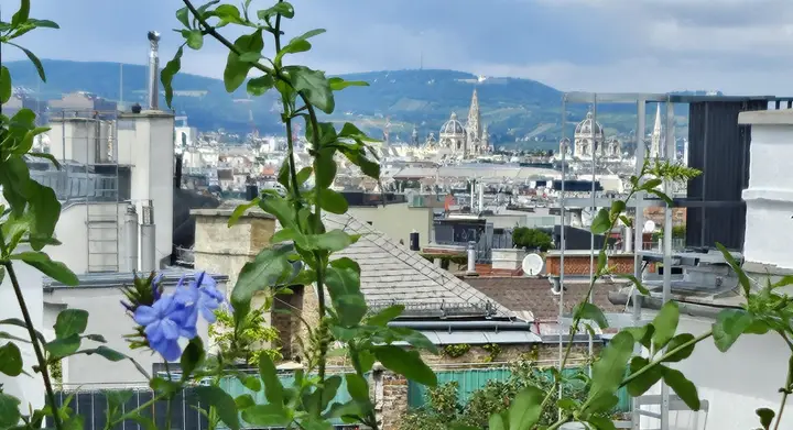 "Sensationell" der Ausblick von der Terrasse!