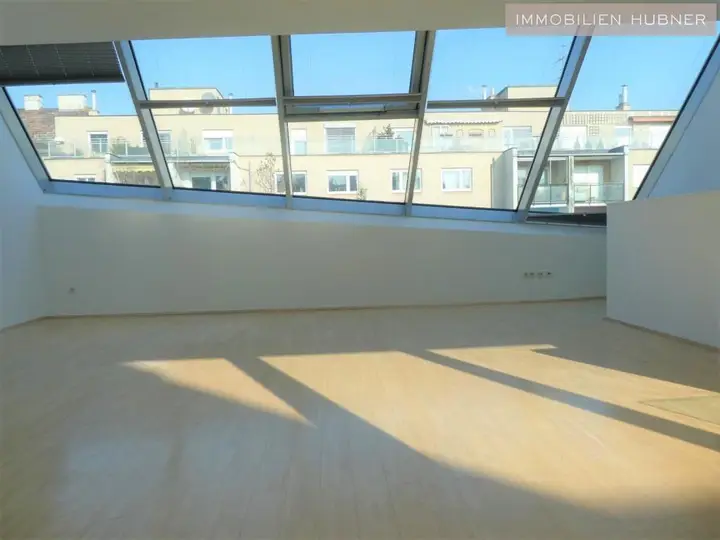 geniale Fensterfront