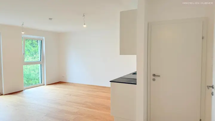 Einblick in den Wohnraum