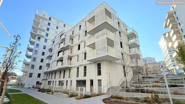 Haus