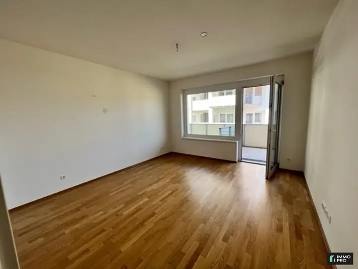 Zimmer1