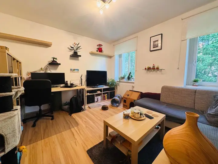 P123_IMS_Wohnzimmer1