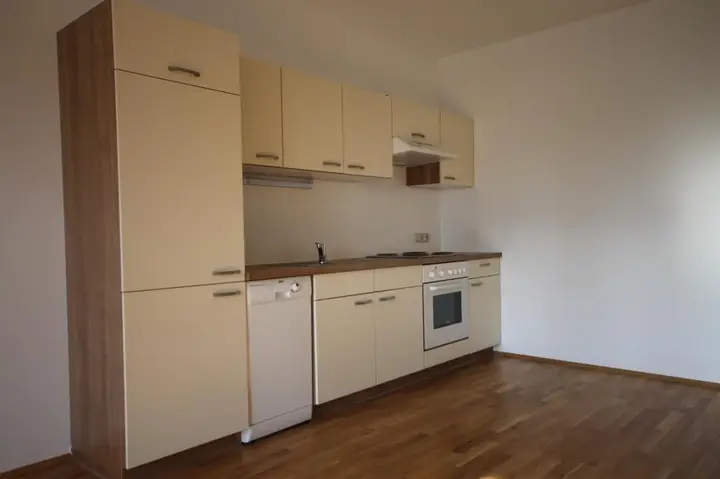 IMS IMMOBILIEN KG 2-3 Zimmer Mietwohnung HALL
