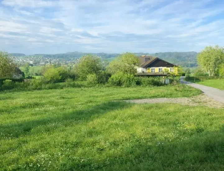 HP1-Grundstück-Mattsee-total