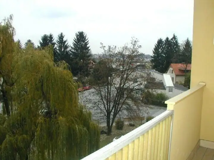 Ausblick
