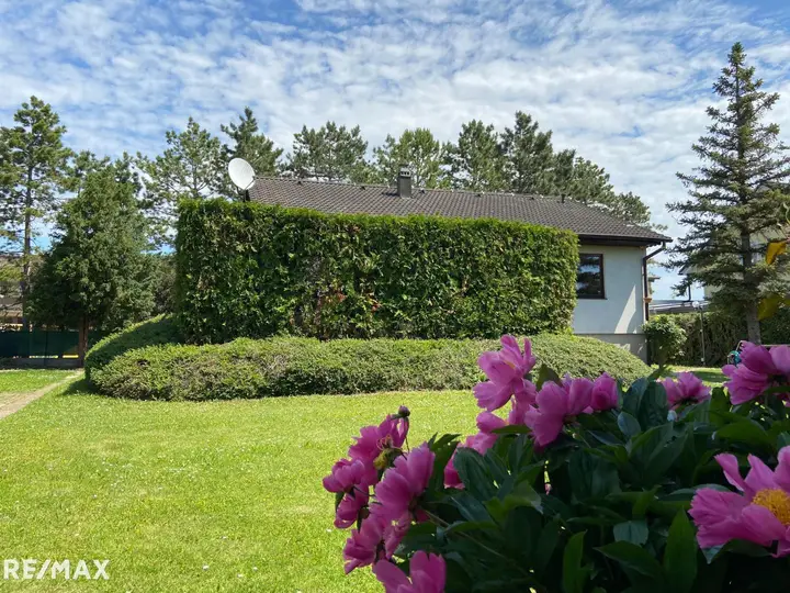 Garten 2