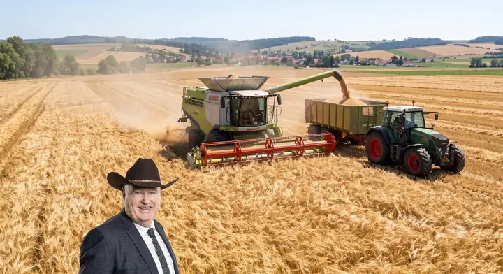 Die goldene Ernte