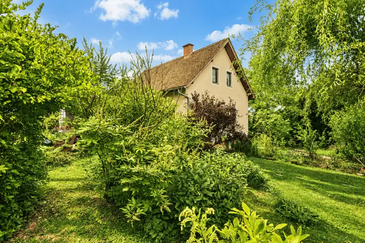 Foto_Fruehsommer_10