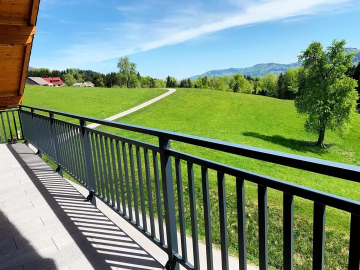 Blick aufs Grünland